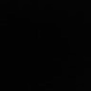 Meet your Posher, Samuel